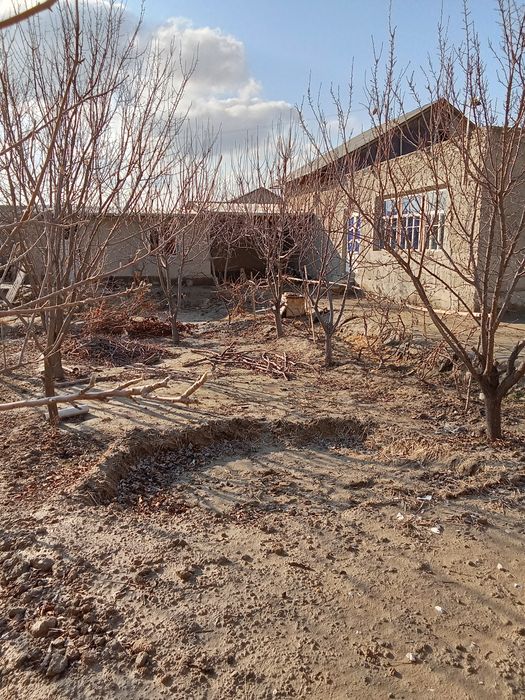 Hovli sotiladi 8 stuk