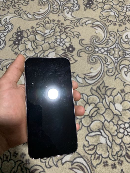 Iphone 13 pro max
