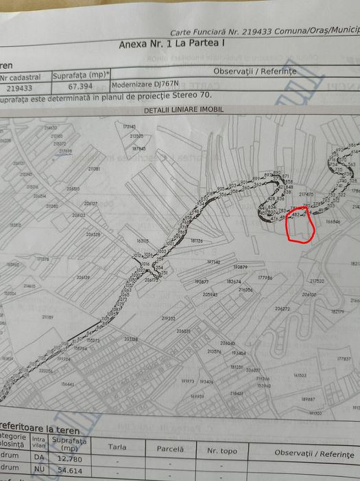 pamint zona oncea extravilan