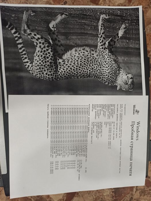 Продам МФУ 4018. Продам принтер.