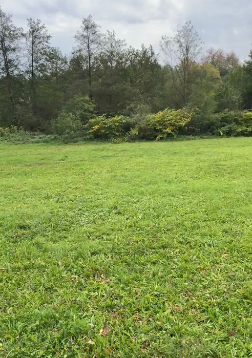 Teren lângă Cavnic la 12 minute de pârtie