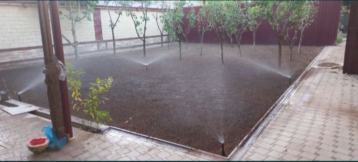 Посев  бренд  газон  рулонные  газон Авторадио  поливной  система