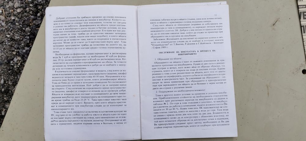 Инкубатор Декада