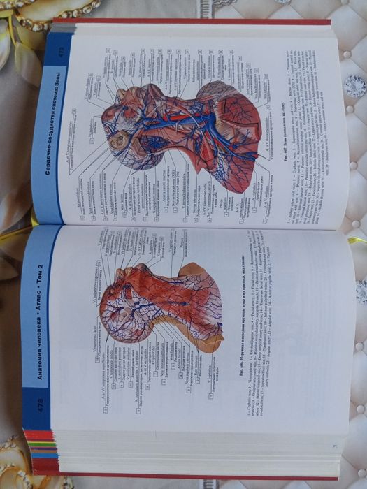 Atlas anatomiya sotiladi