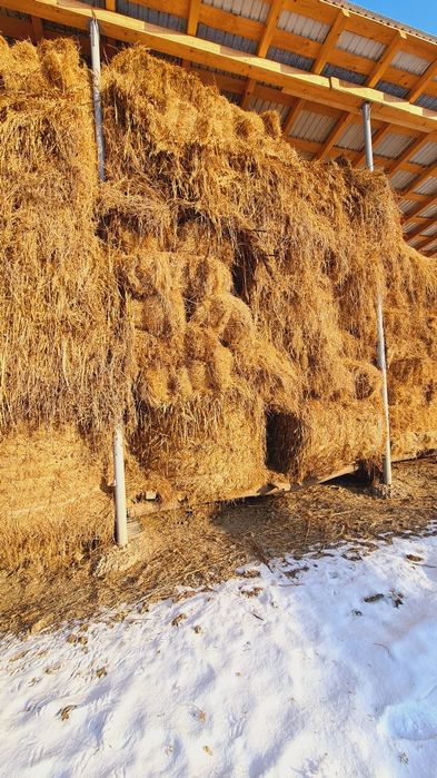 Vând Baloți / Fân
