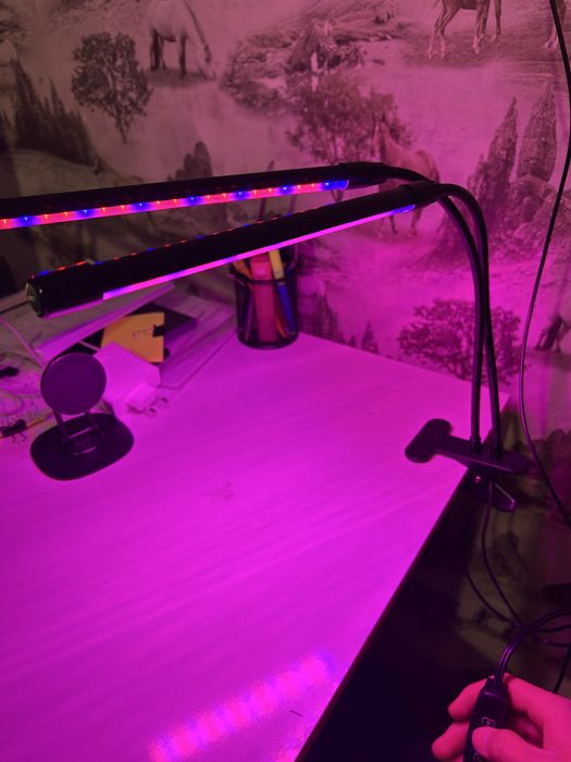 Продам фитолампу 24В