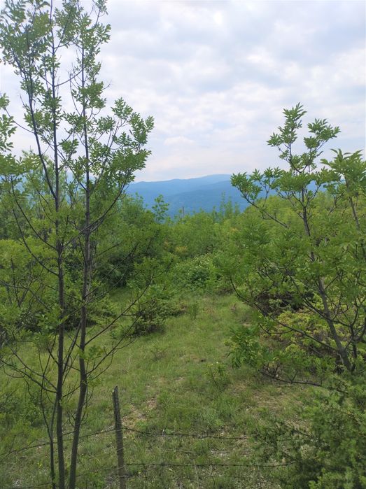 Панорамен парцел 511м2 с УПИ