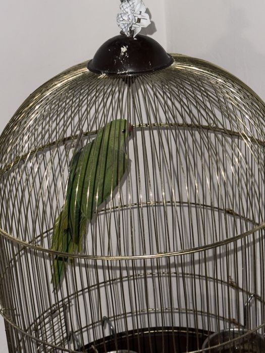 Micul Alexander 10 luni