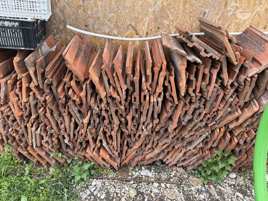 Vând țiglă Muschong