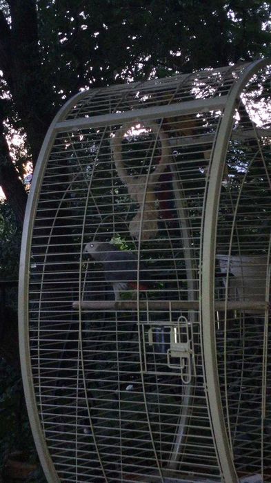Продам клетку для попугая