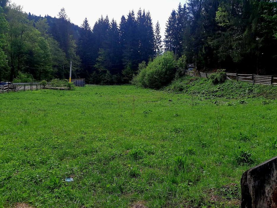 Teren intravilan de vânzare