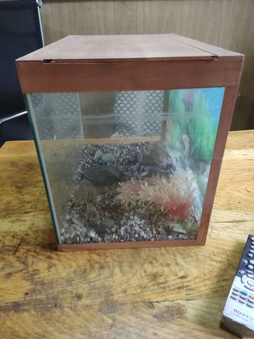 Продам аквариум не большой