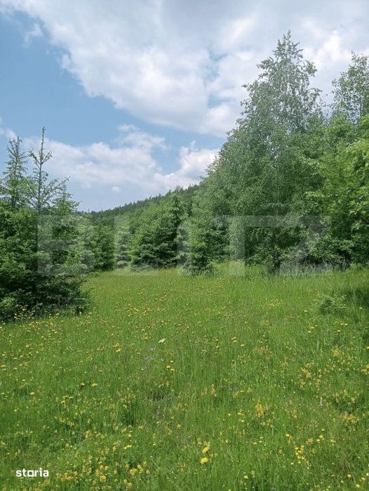 Teren intravilan de vanzare, 30.121 mp, Trancesti, Scarisoara