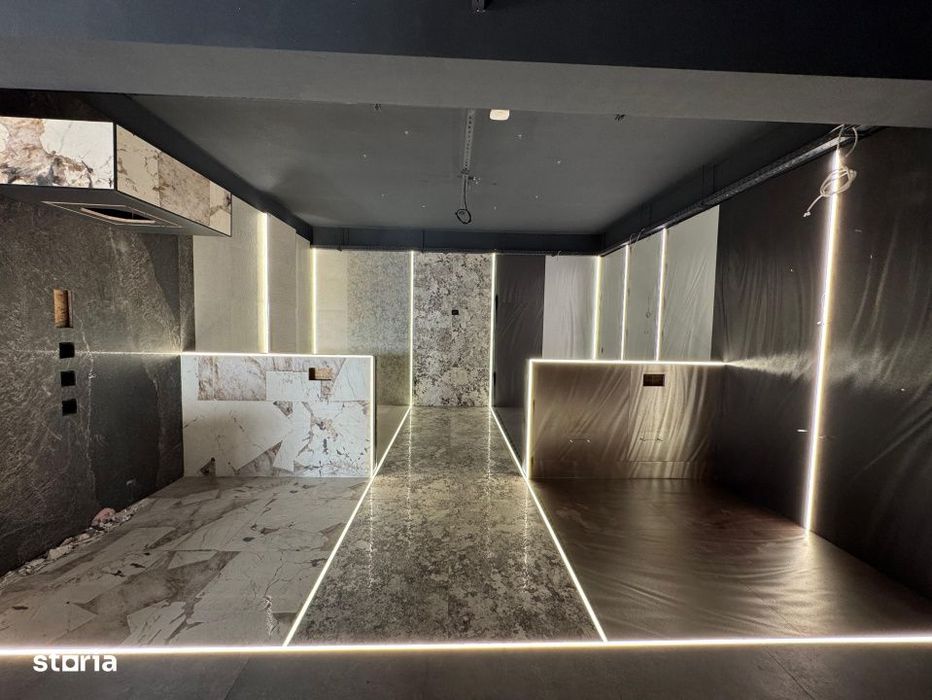 Inchiriere Spatiu Comercial Vitrat, 480 mp Tatarasi - Hotel Amadeo