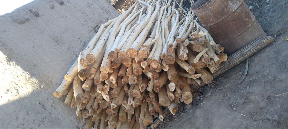 Agash xoda  sotiladi Aq sovit