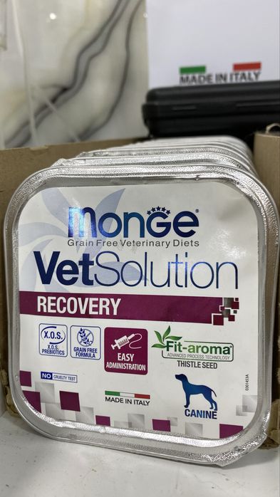 Veterinariya xizmati – It va mushuklar uchun tezkor yordam!