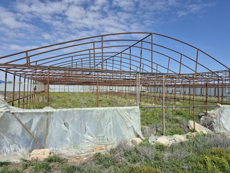 Продаю теплицу 50×8.5