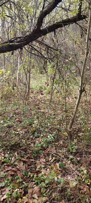 УПИ Долни оманци Р