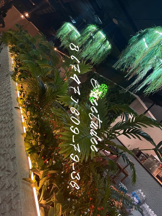 Декор стен зеленью Интерьерное озеленение