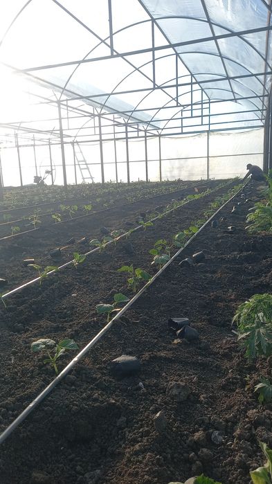 Капельный полив установка