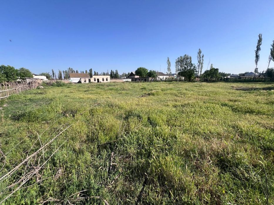 Участка 30 сотих. Кадастри бор