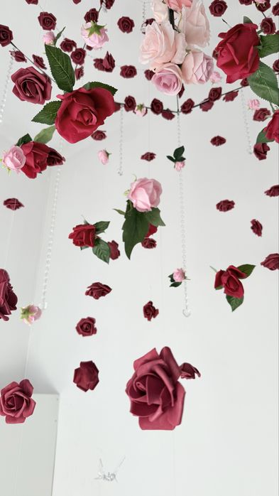 Vând IGLOO Astreea Max M, policarbonat, încă în garanție