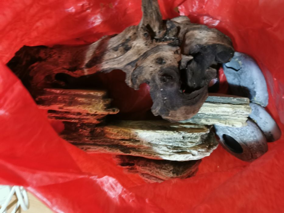 Vând acvariu și accesorii