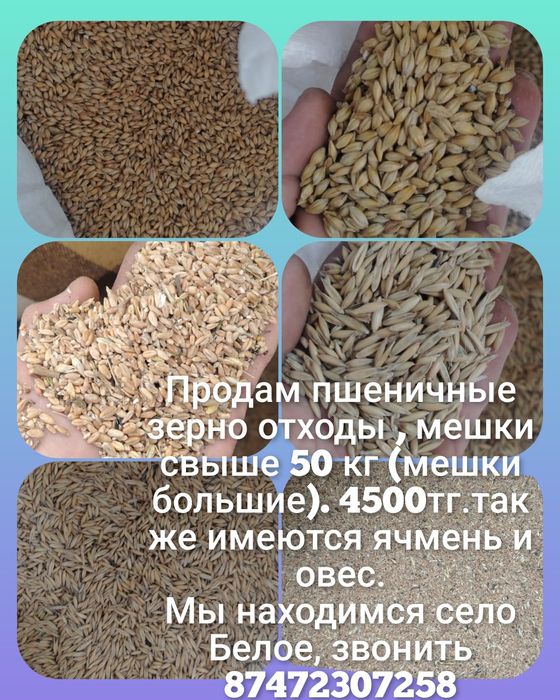 Продам зерноотходы 4500тг /мешок