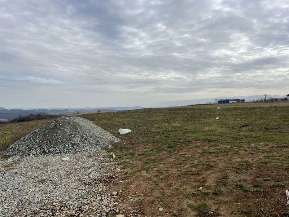 Teren intravilan parcelat Daia Noua