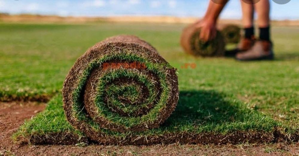 Amenajare gradina cu  gazon rulou si plante ornamentale
