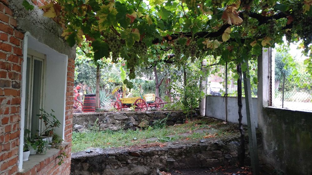 Продава се Къща в Елхово - 160 кв.м за 188 €/кв.м - Снимка #5