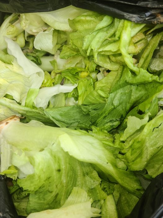 Уй хайвонлари учун озука ( кукатлардан колдик)