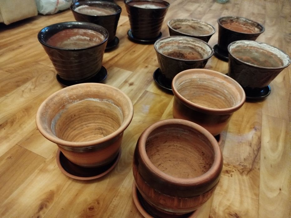 Горшки для посадки растений