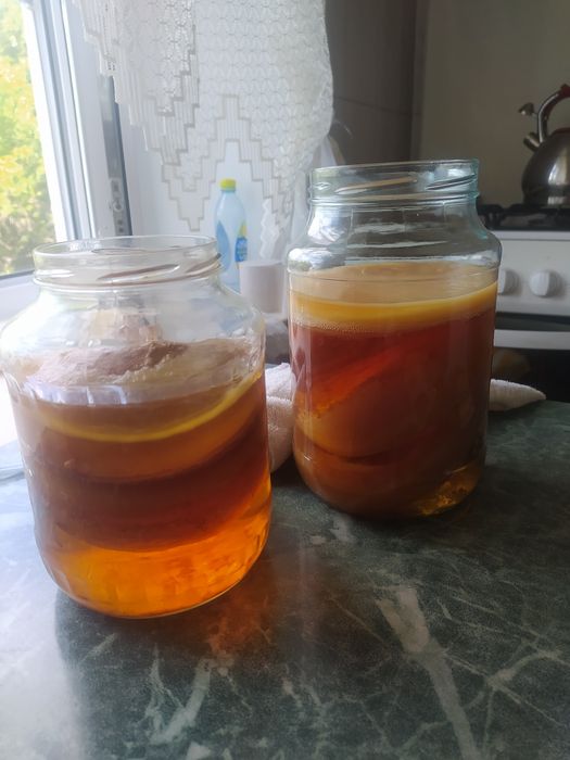 Чайный гриб, чайный квас