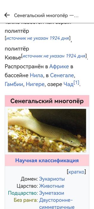 Балшой Аквариум с мебелом