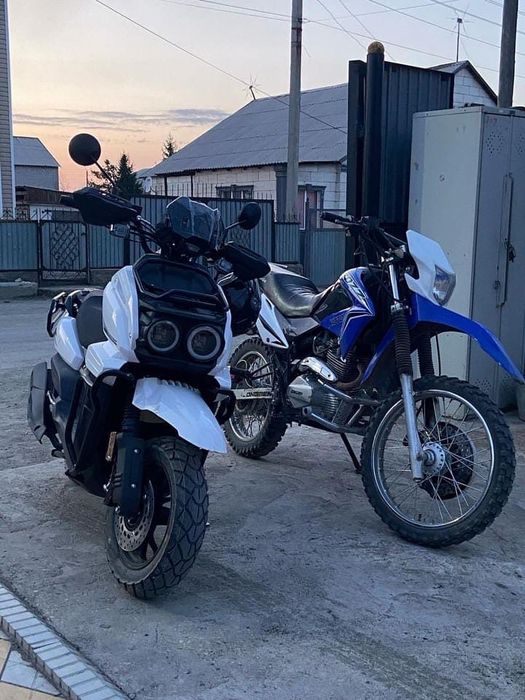 Tank sports скутер