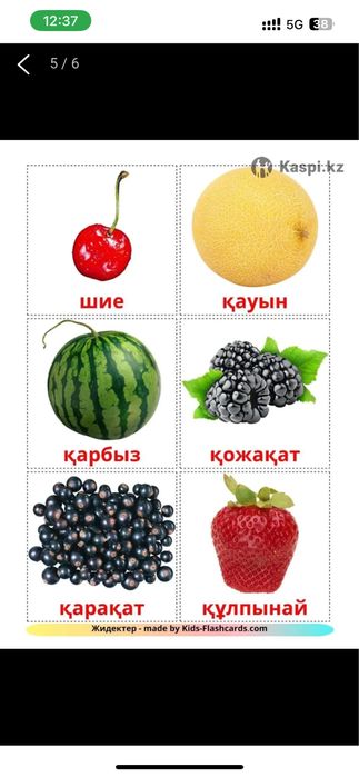 Преподаватель казахского языка