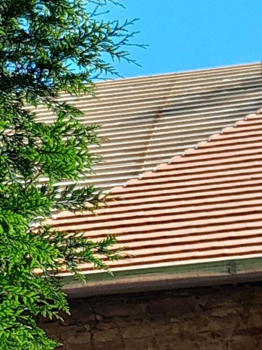 Executam acoperișuri și reparații de urgenta