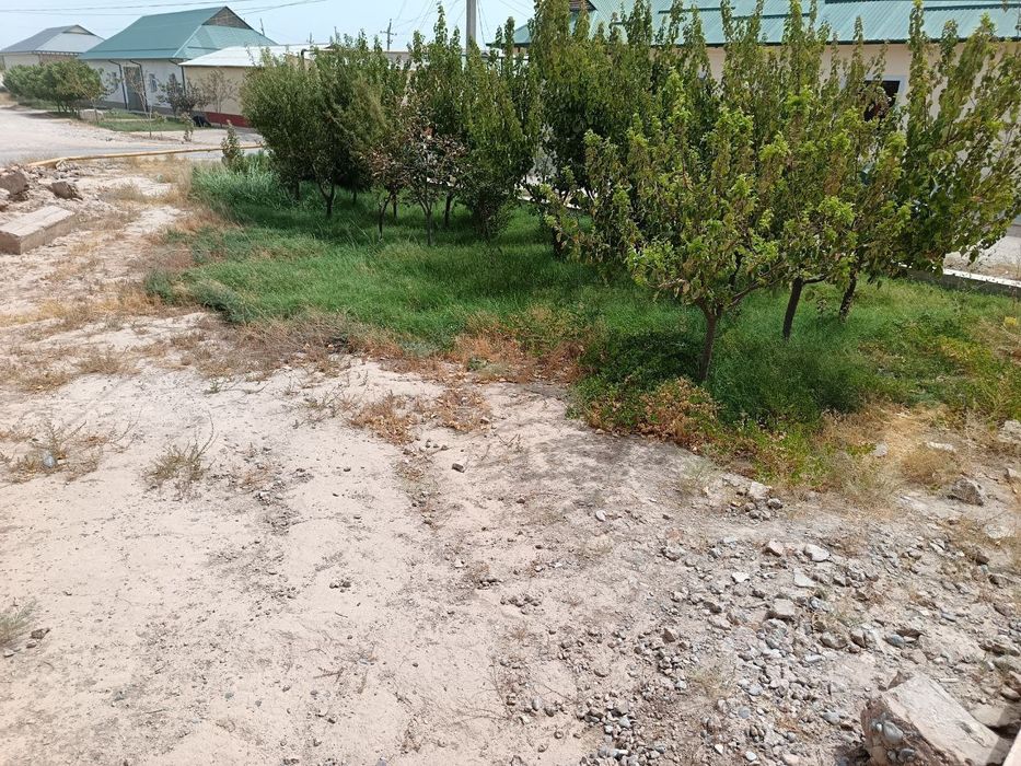 Yer uchastka sotiladi srochna !!!