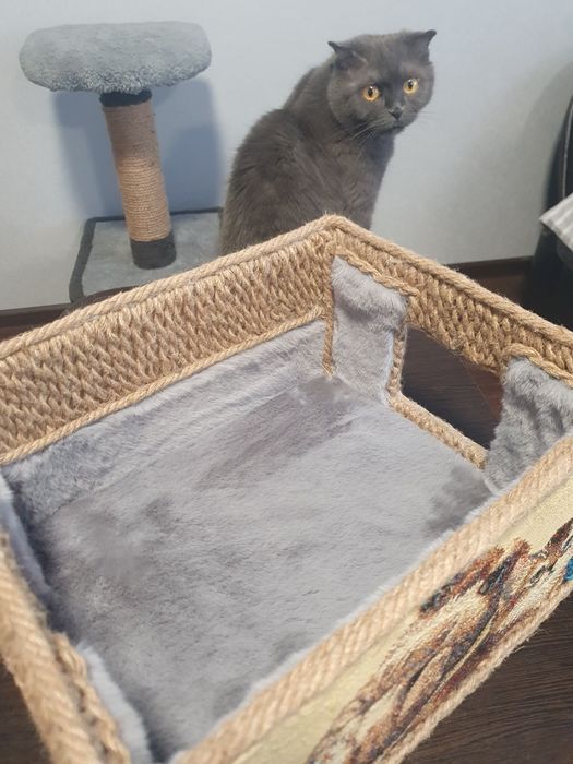 Домик для котика