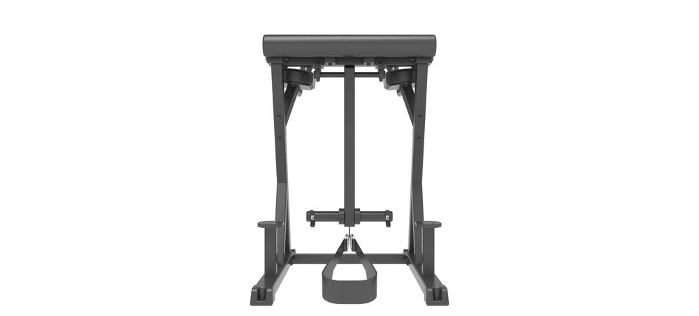 Impulse IFP1619
Обратная гиперэкстензия