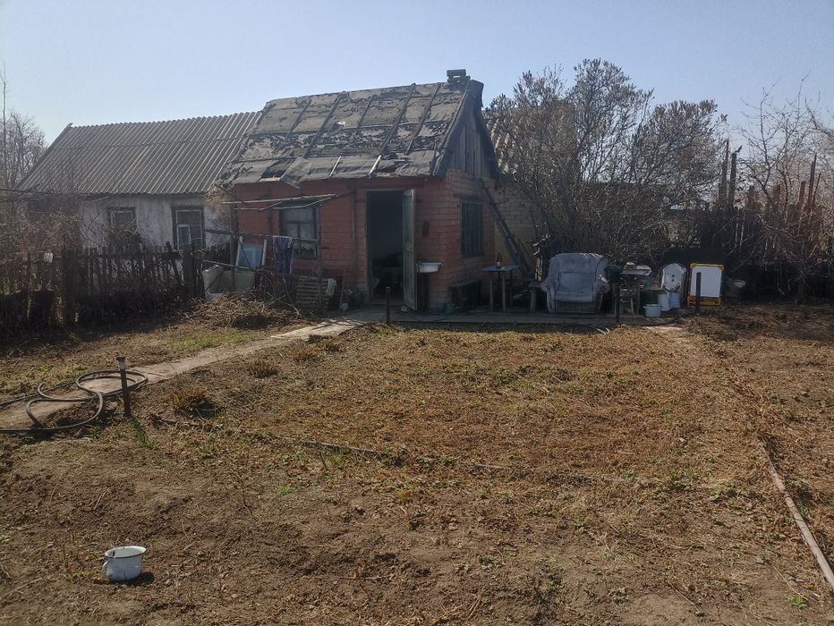 Дача сад здоровье