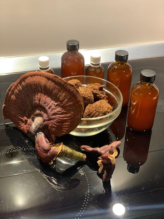 Ganoderma Lucidum (Reishi)  - ciuperca nemuririi