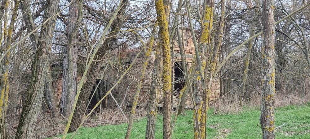 Продава се Къща в с. Побит камък, Област Разград - 100 кв.м за 306 €/кв.м - Снимка #1