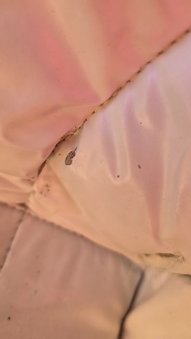 Бебешки стол за хранене