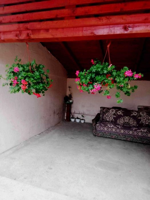 casa  in centrul satului CRACIUNESTI la 6 km de SIGHETU MARMATIEI