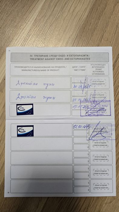 Чистокръвни немски овчарки с три ваксини