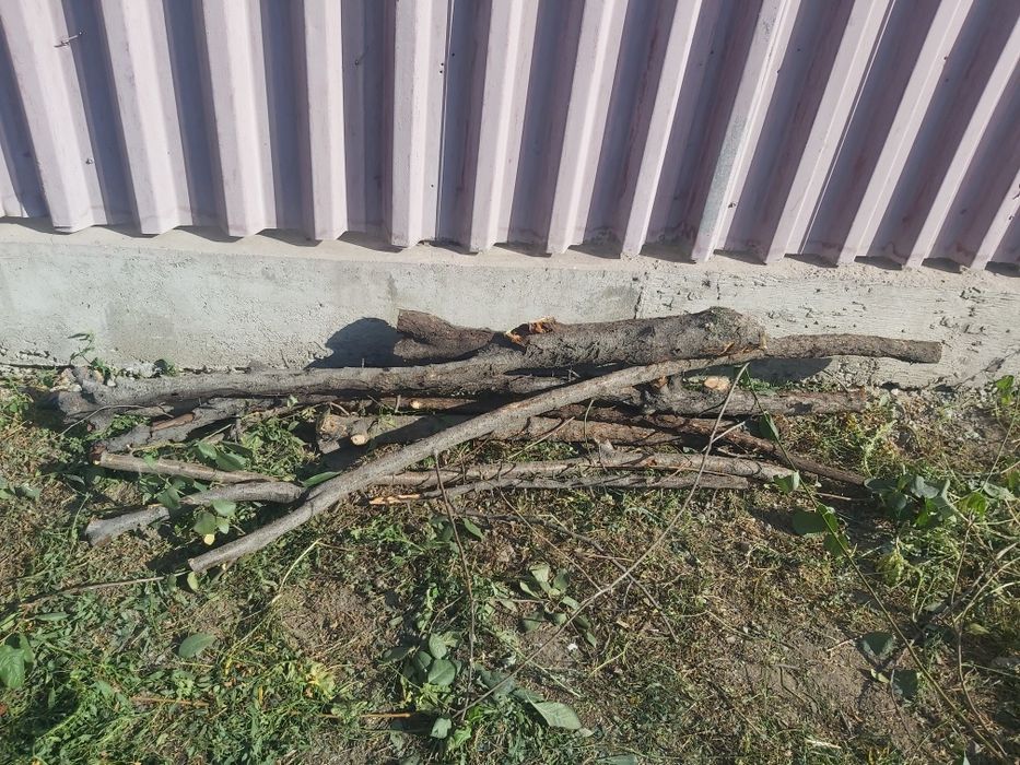 Дрова для топки  бани  дома