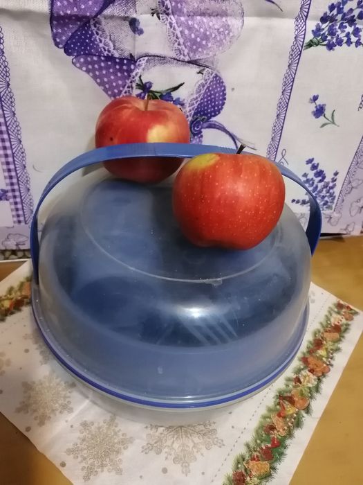 Посуда для пикника