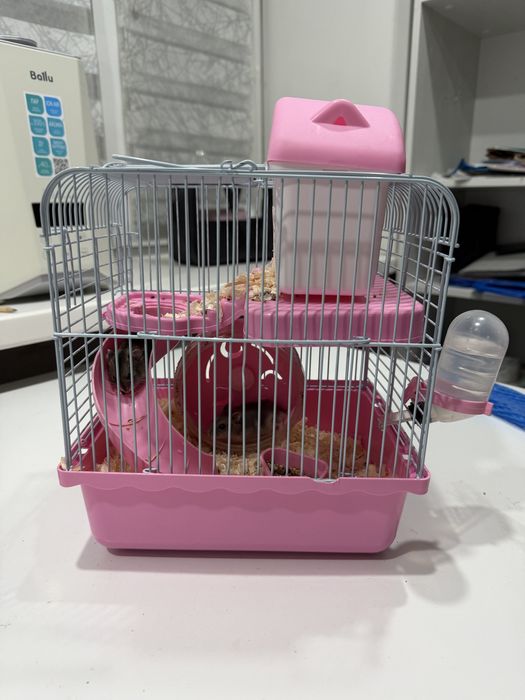 Хомяки с клеткой